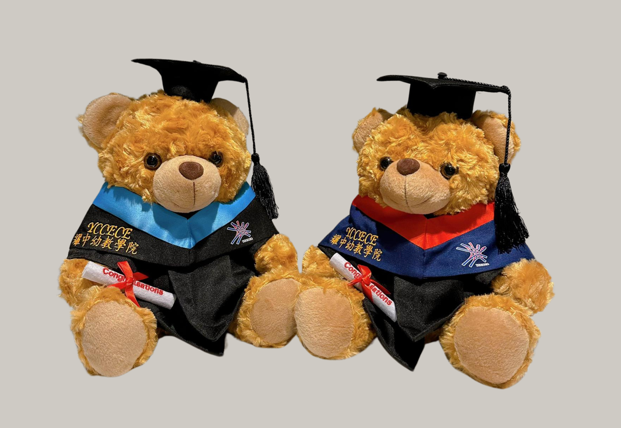 Graduation Bear Gift Set