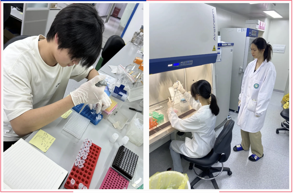 YCIS student intern at Omni Biologics laboratories