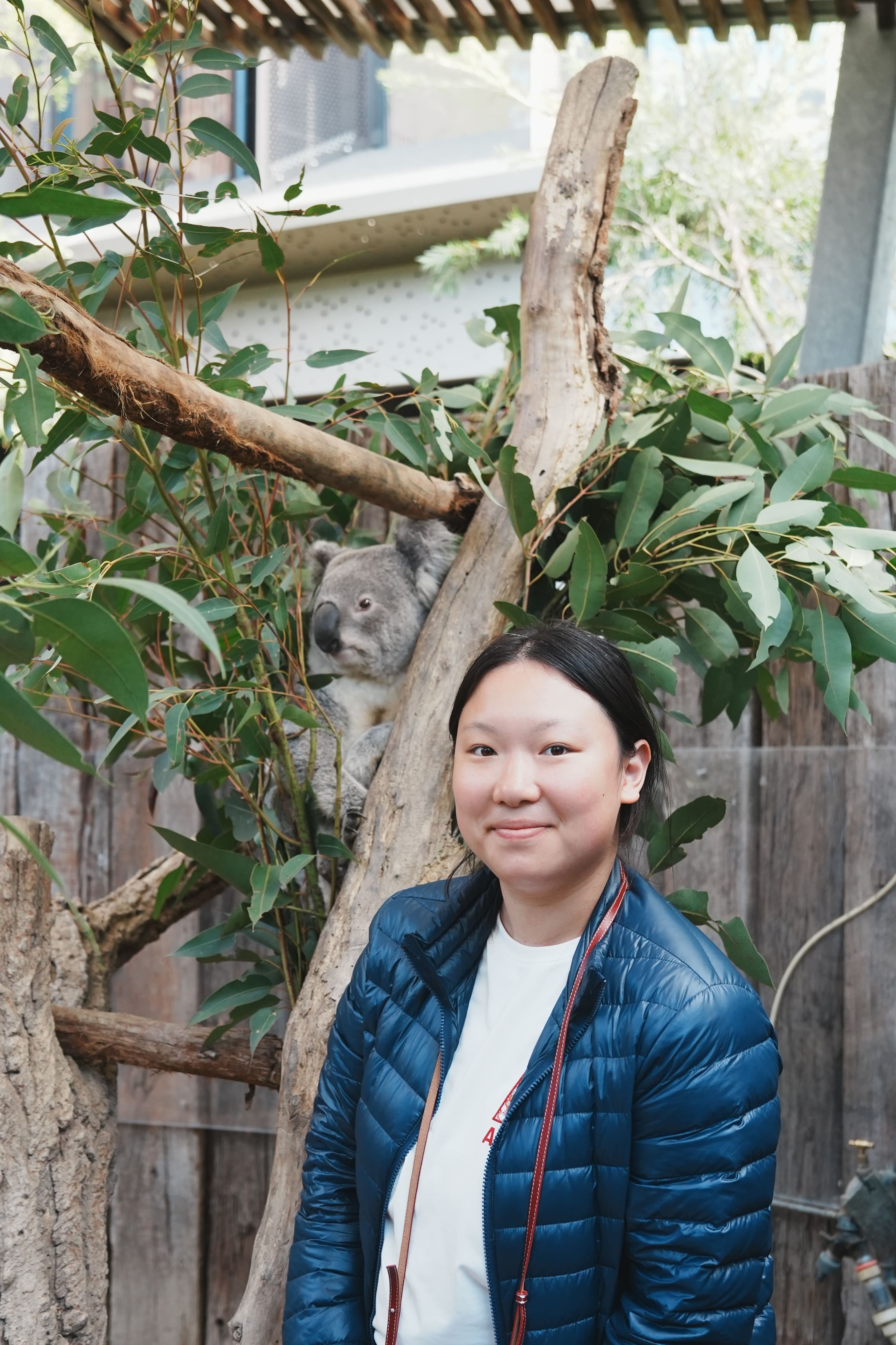 北京亦莊耀華 G10 Coco