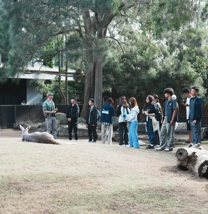 YCYW Summer Camps 2026: Register Now!